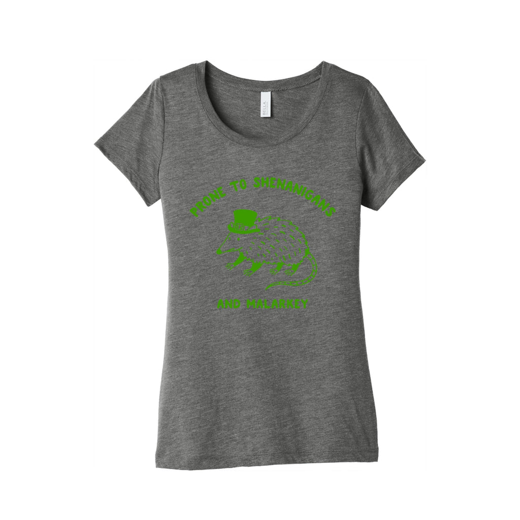 Shenanigans And Malarkey Womens Triblend Tee