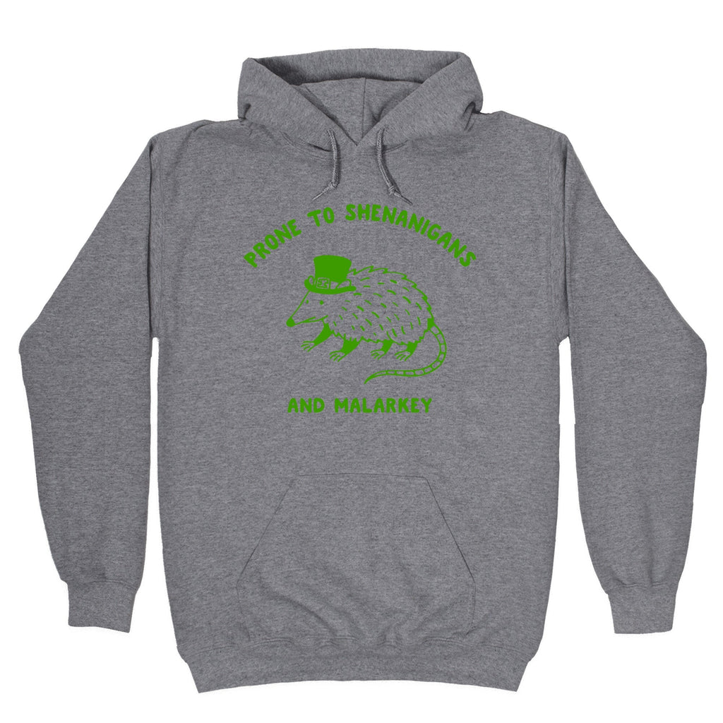 Shenanigans And Malarkey Hoodie