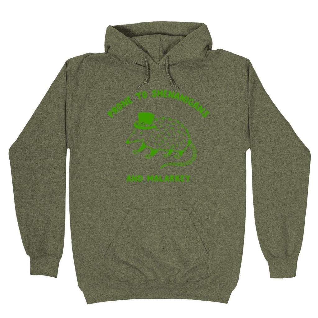 Shenanigans And Malarkey Hoodie