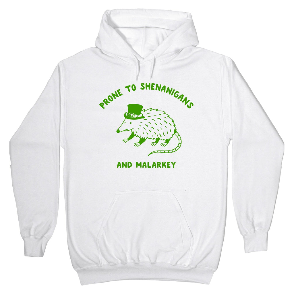 Shenanigans And Malarkey Hoodie
