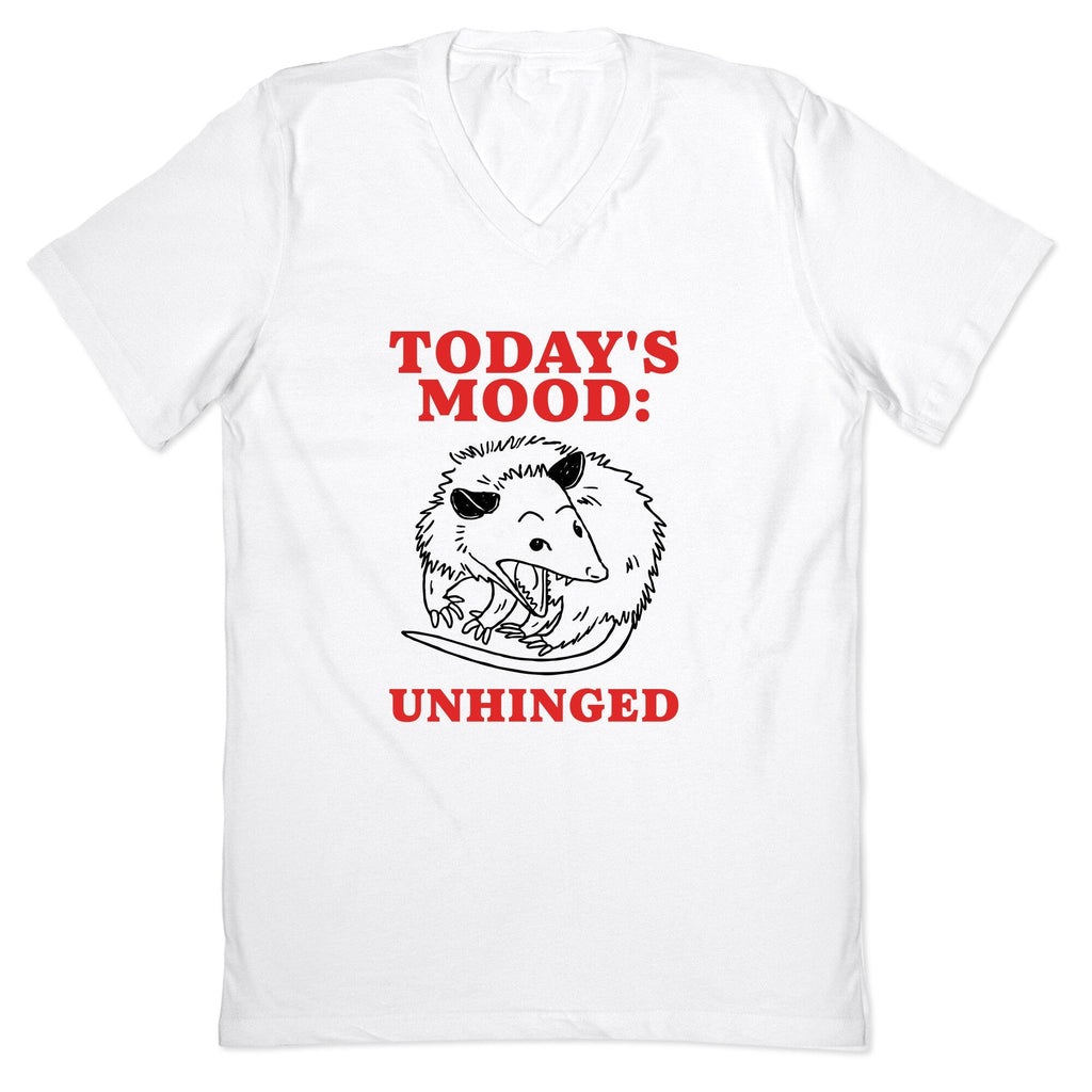 Todays Mood: Unhinged V-Neck