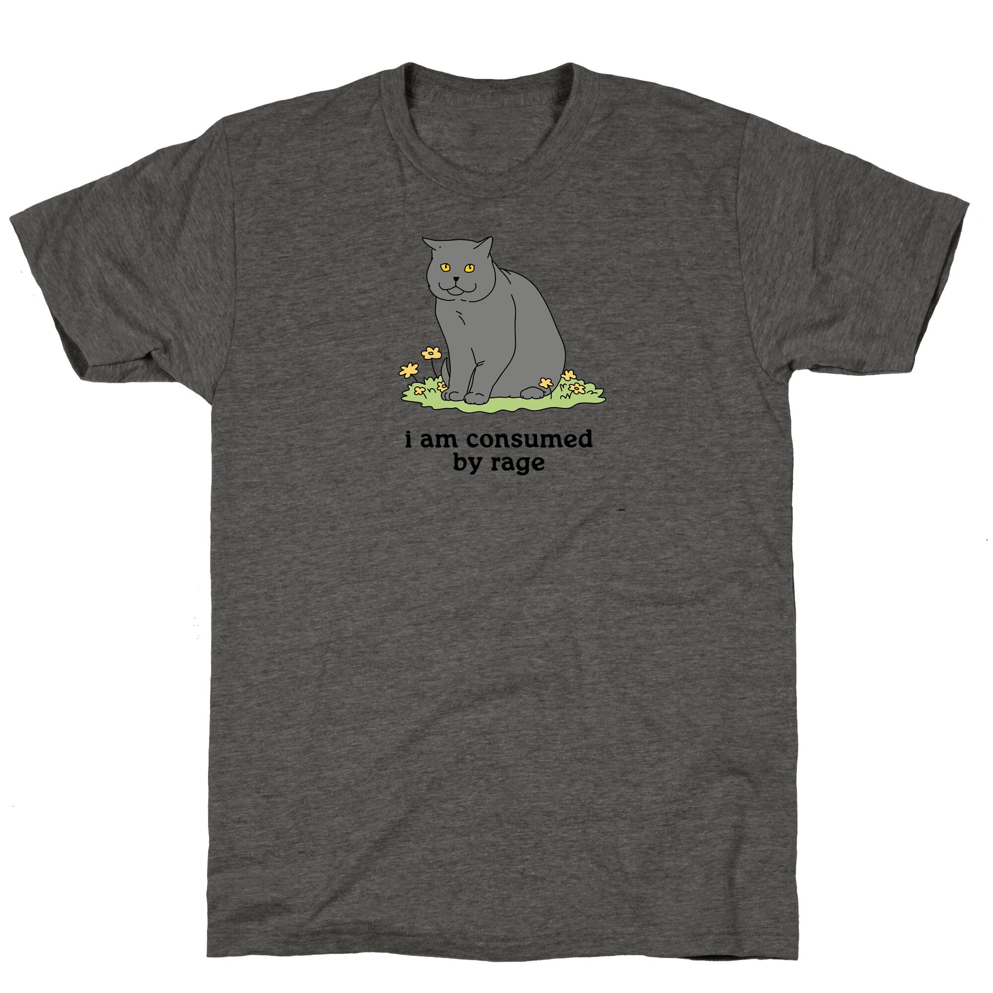 Consumed By Rage Unisex Triblend Tee
