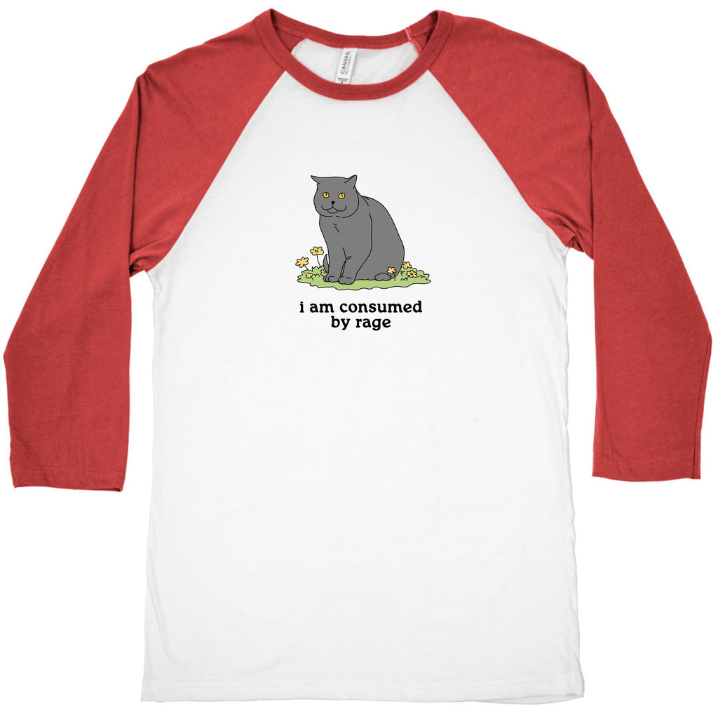 Consumed By Rage Baseball Tee