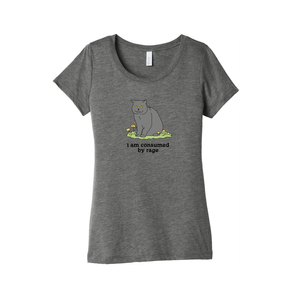 Consumed By Rage Womens Triblend Tee