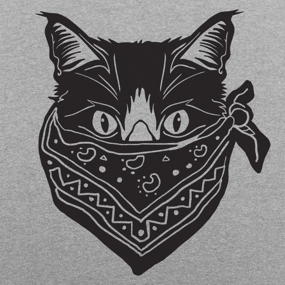 Quarantine Cat