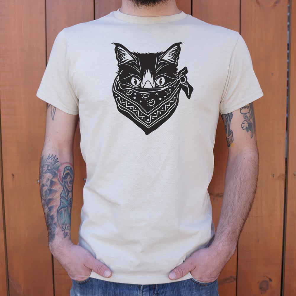 Quarantine Cat