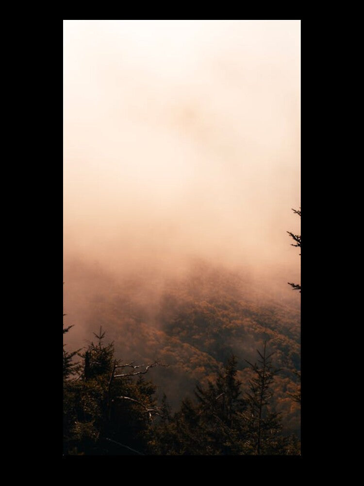 A Journey Through Intense, Soulful, and Atmospheric Tracks by nitina56x