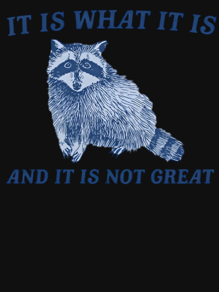 It Is What It Is And It Is Not Great , Funny  Raccoon  Unisex by Dreams  come true
