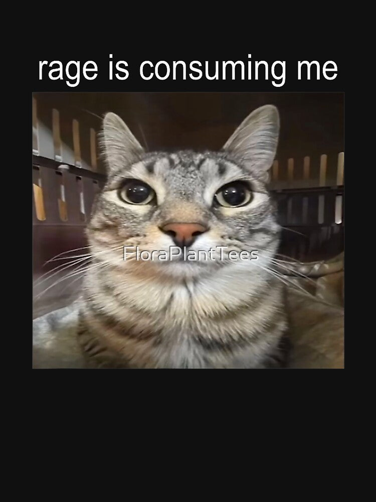 Rage Is Consuming Me Silly Staring Cat Meme by FloraPlantTees