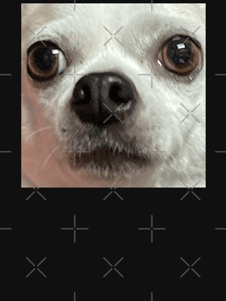 Taco the Chihuahua by ThunderRuler