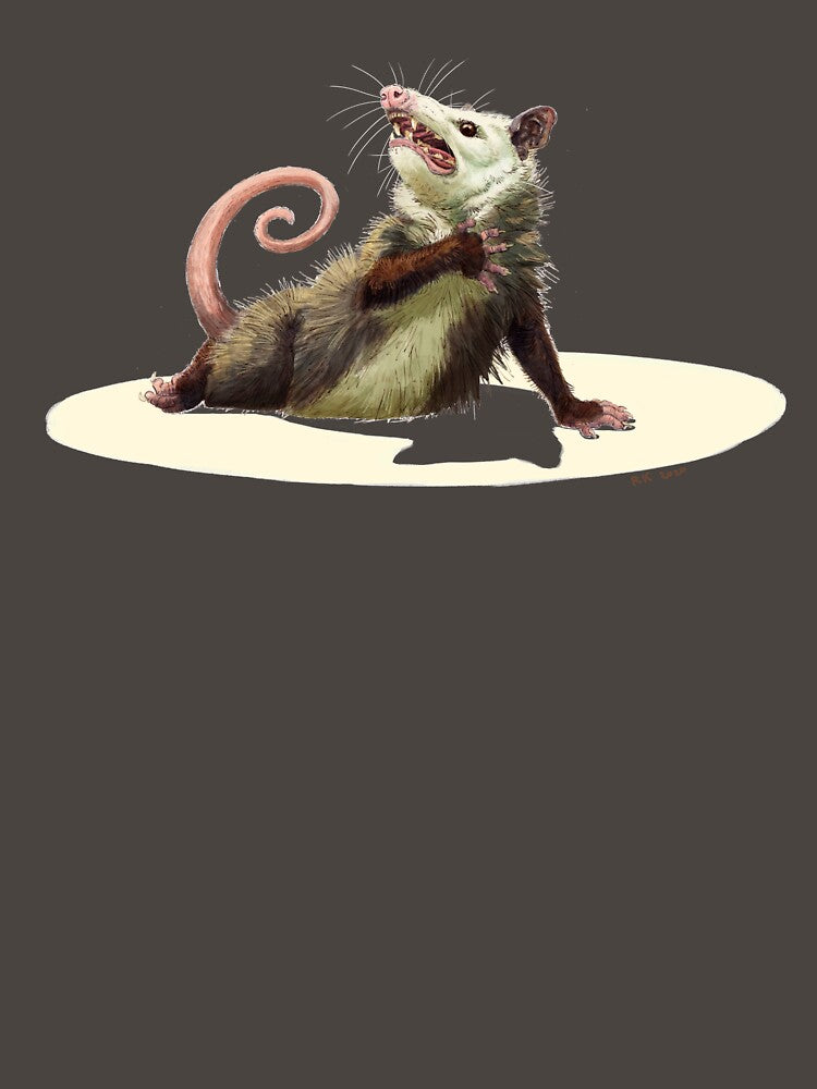 Amateur Opossum Actress by Rebecca Kriz Art