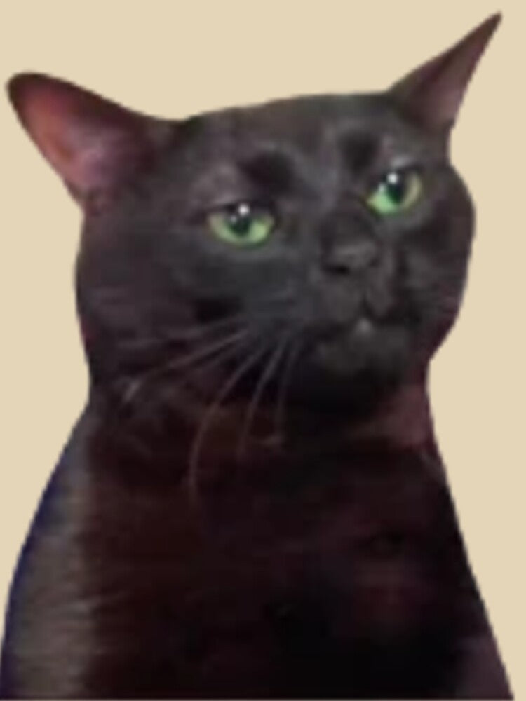 Black cat meme zoning out by Meme_shop