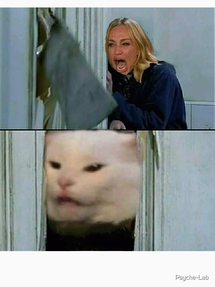 Woman yelling at cat meme by Psyche-Lab