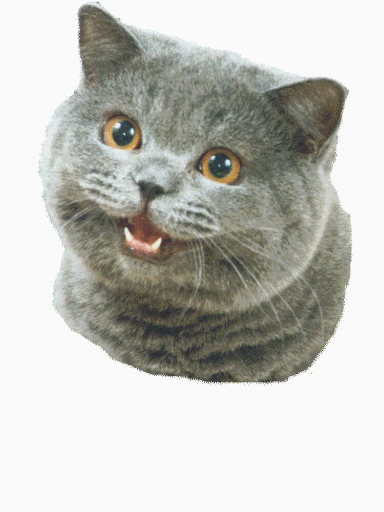 Happy Cat Plain Meme by joeyboca