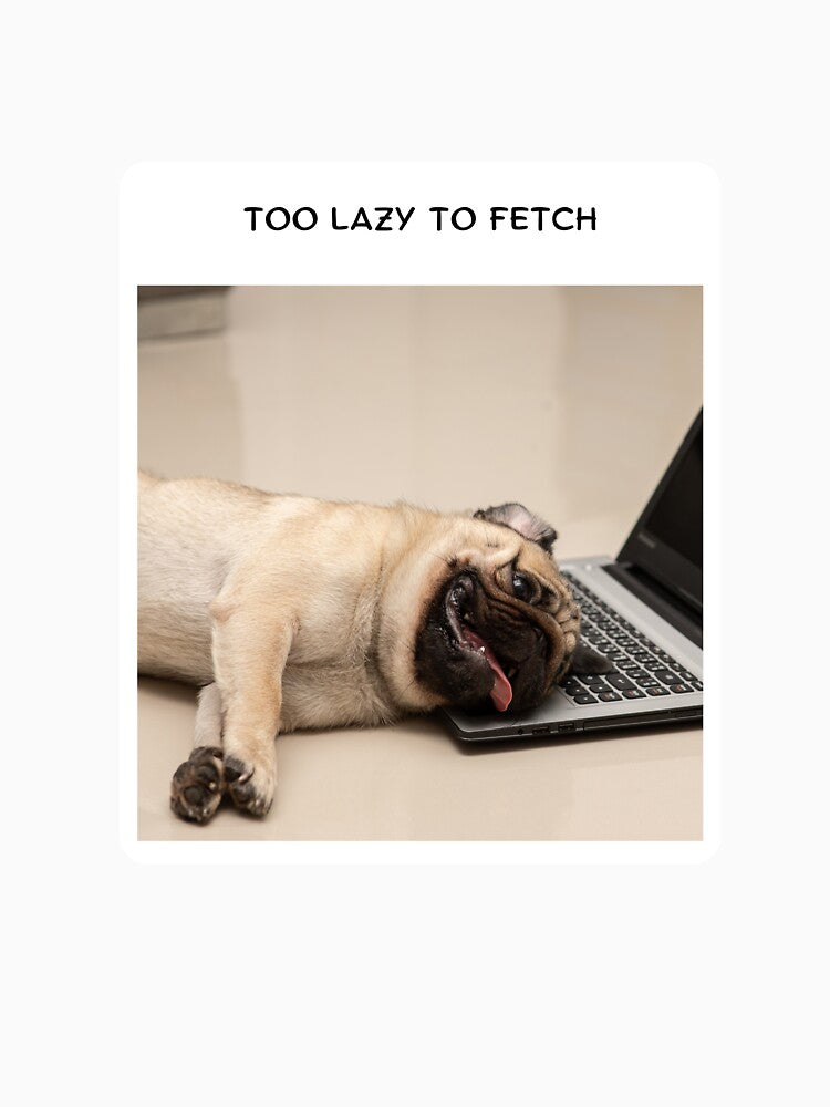 Too lazy to fetch by Oh my DOG!