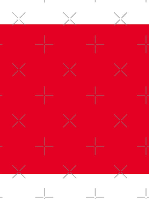 Beautiful Cushions/ Plain Cadmium Red by ozcushions