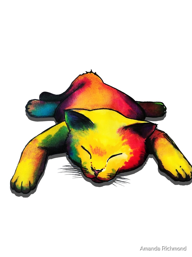 Lazy Day, Snoozing Cat by Amanda Richmond