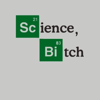 Science Bitch Hoodie