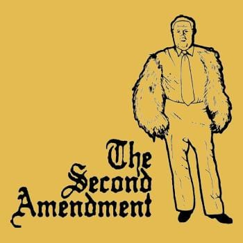 Second Amendment Hoodie