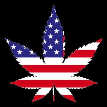 American Weed Hoodie