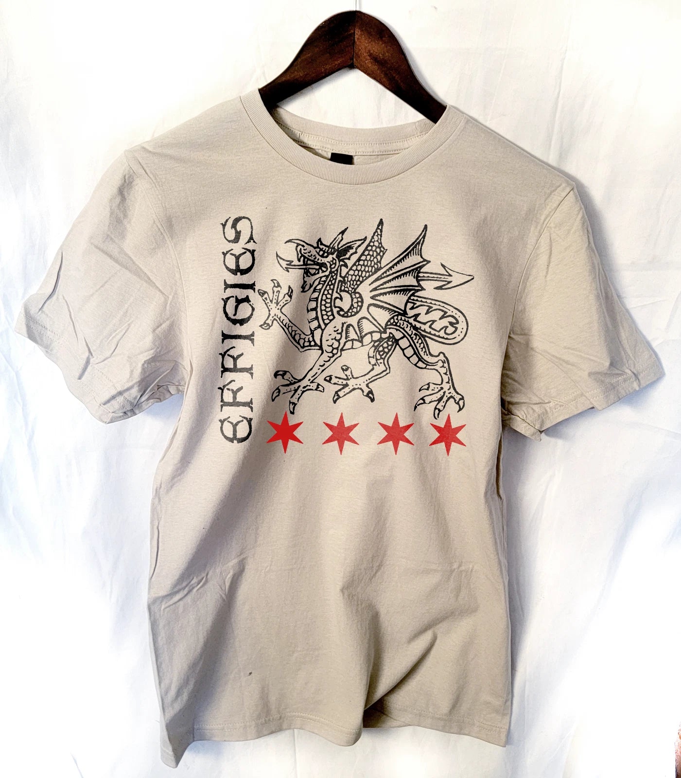 the Effigies band   t shirt chicago punk hardcore