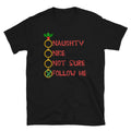 Christmas T-Shirt, Naughty Nice Follow Me Funny Christmas Novelty Gift T Shirt