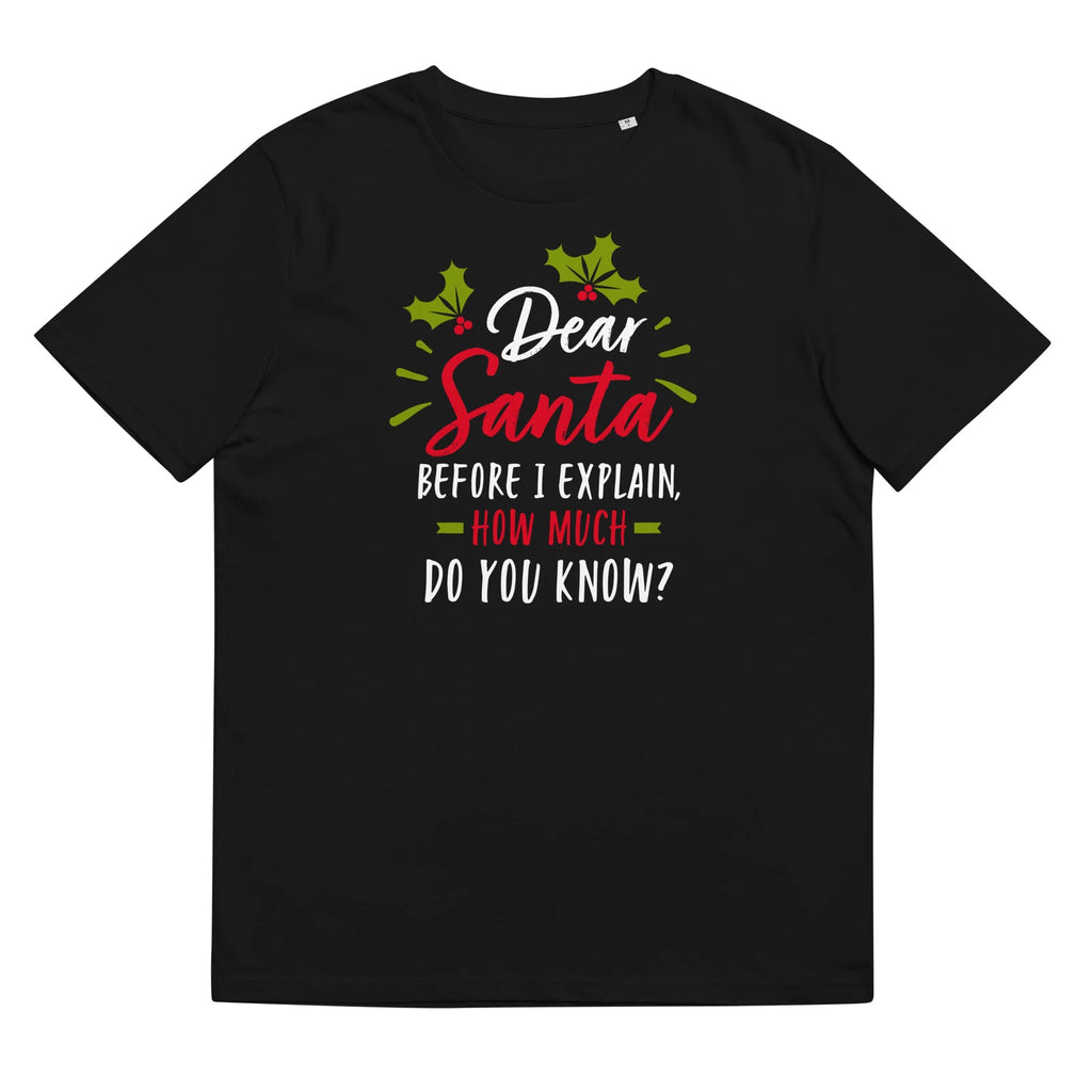 Dear Santa before I explain T-Shirt copy
