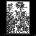 Skeleton with Roses Alton Kelly Stanley Mouse Grateful Dead Hippie Shirt NFT057