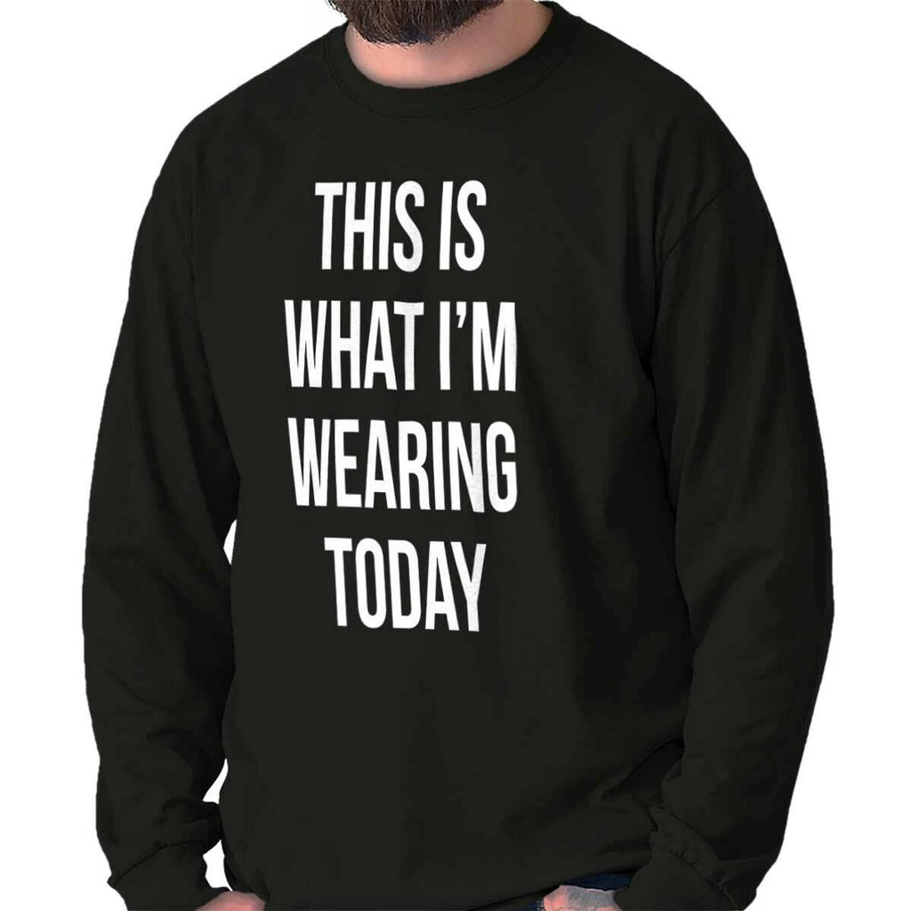 Funny This Is What I'm Wearing Today Humor Long Sleeve Tshirt for Men or Women