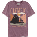 National Parks Olympic Minimalist Landscape Comfort Colors T-Shirt