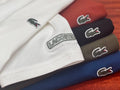 🐊 Lacoste Men’s Slim Fit T Shirt Premium Cotton Logo Casual Summer Tee S-XXL