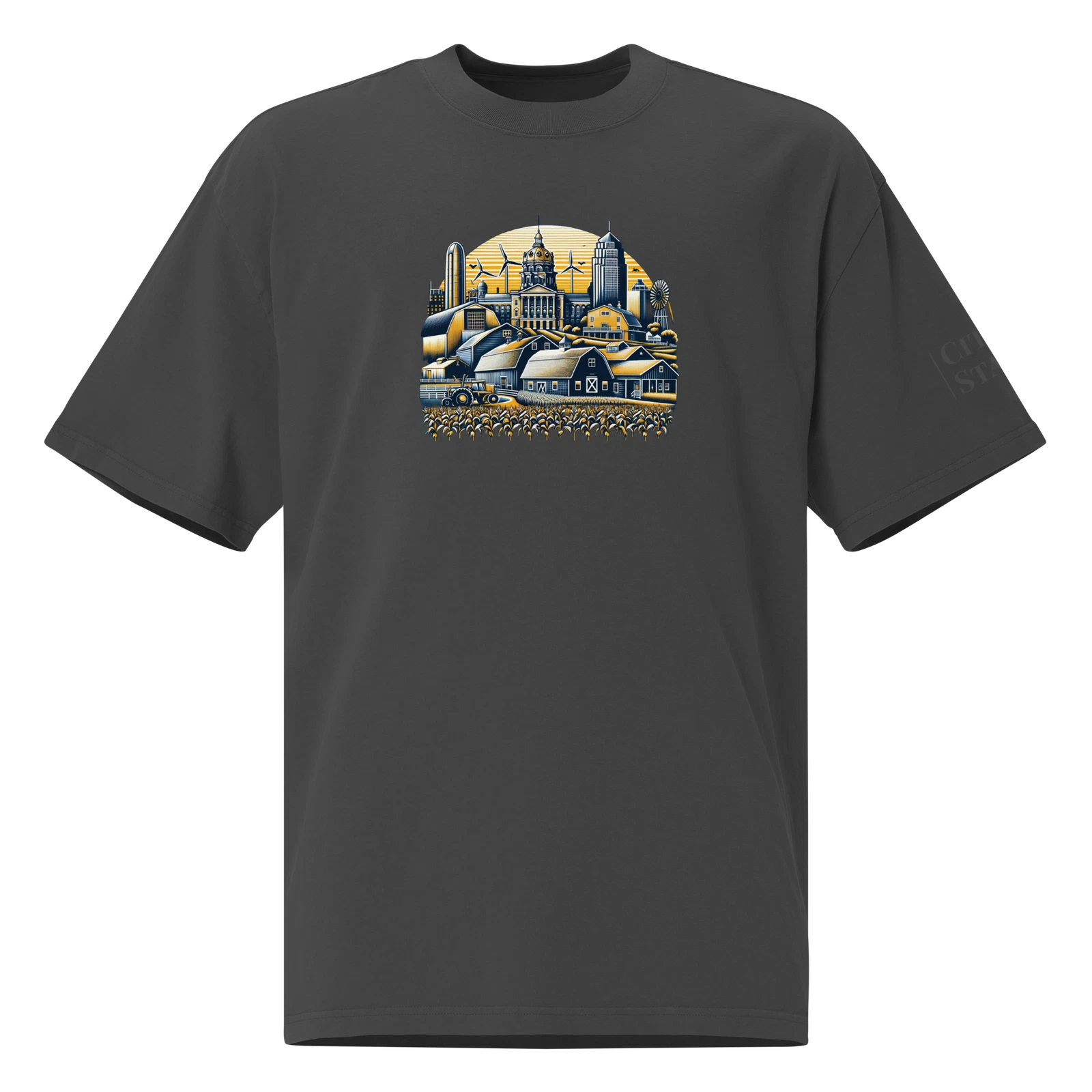 Oversized faded t-shirt (IOWA)