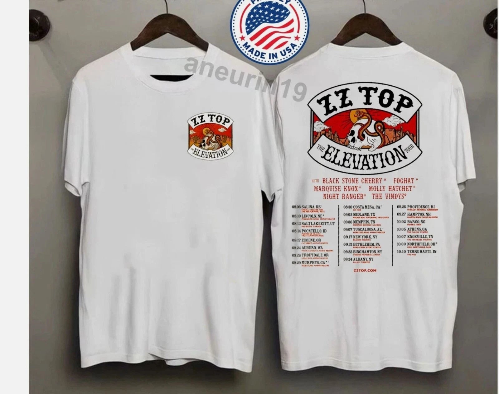 2-Sides ZZ Top Fall 2025 Tour The Elevation Shirt