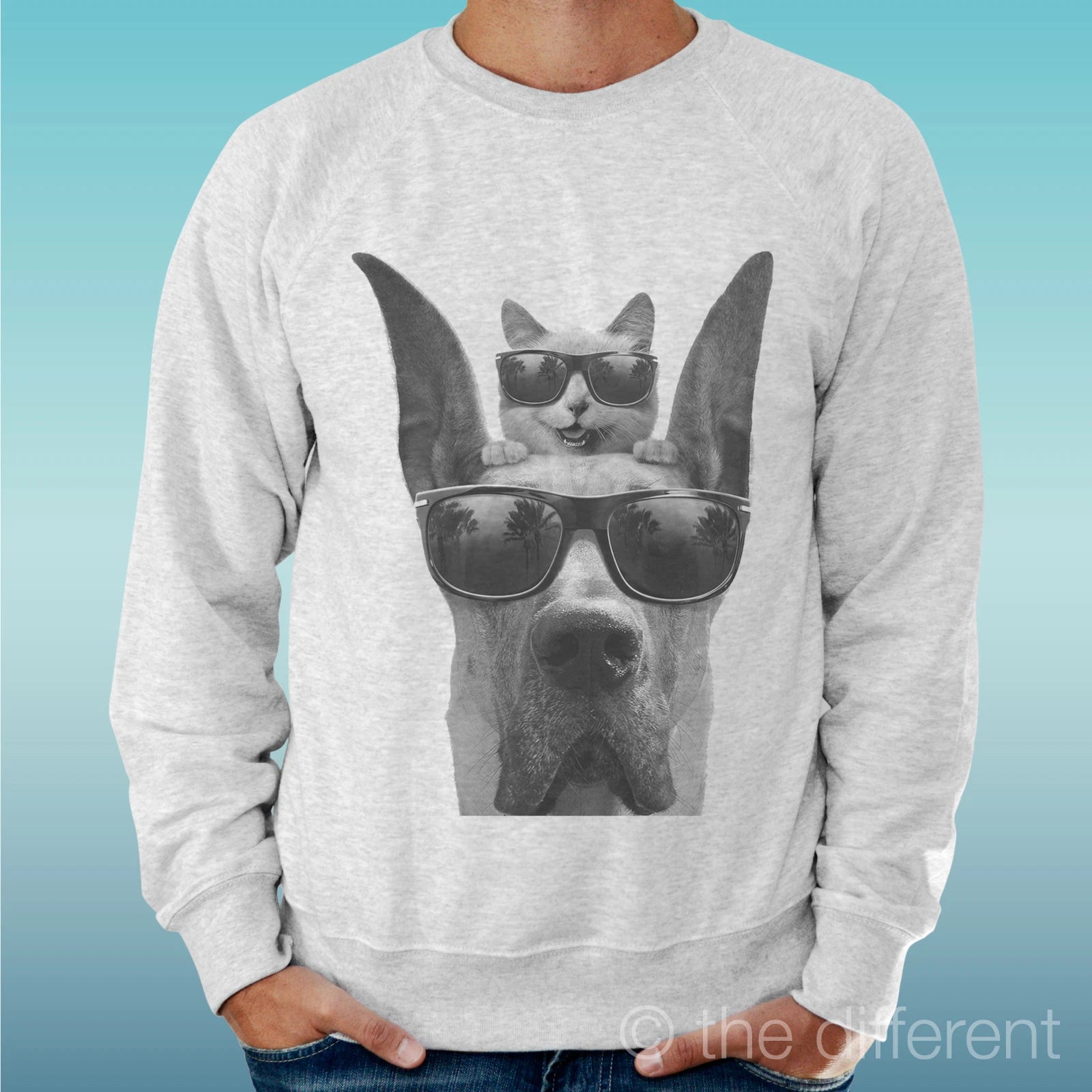 Felpa Man Light Sweater Light Grey " Cat Dog Glasses "
