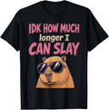 Meme Capybara IDK How Much Longer I Can Slay Teens Funny T-Shirt