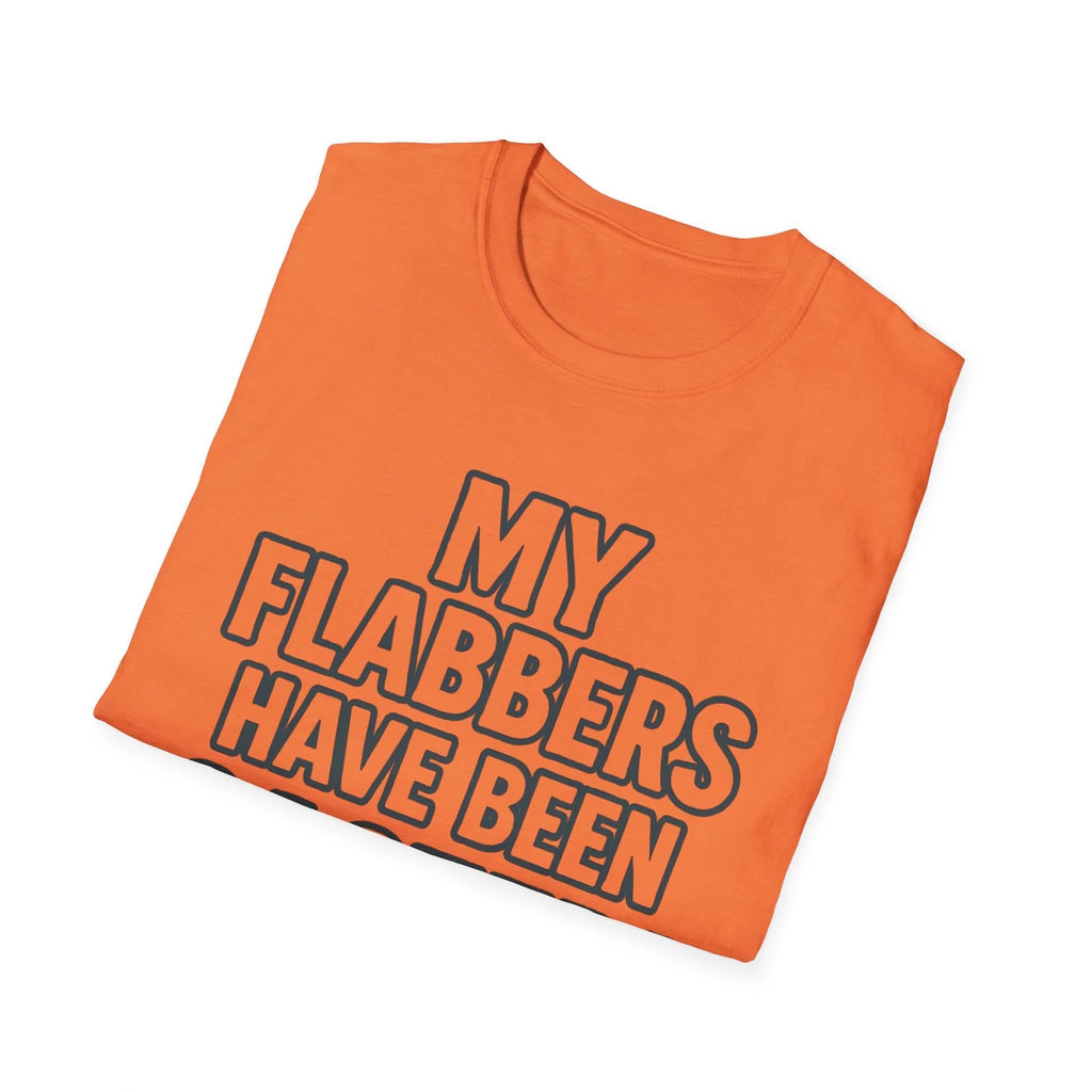 Funny Quote Unisex T-Shirt, My Flabbers Have Been Gasted Tee, Humorous Graphic