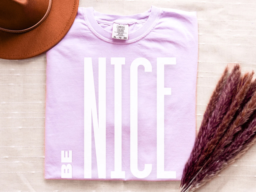 Be Nice T-shirt, Funny Quote Birthday Gift, Sarcastic Social Commentary Tshirt