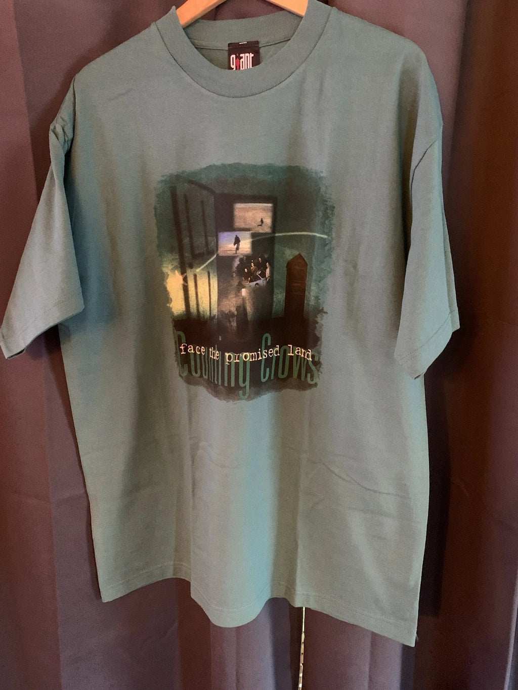 Vintage 90s Counting Crows Face The Promise Land Band T Shirt Grunge Green XL