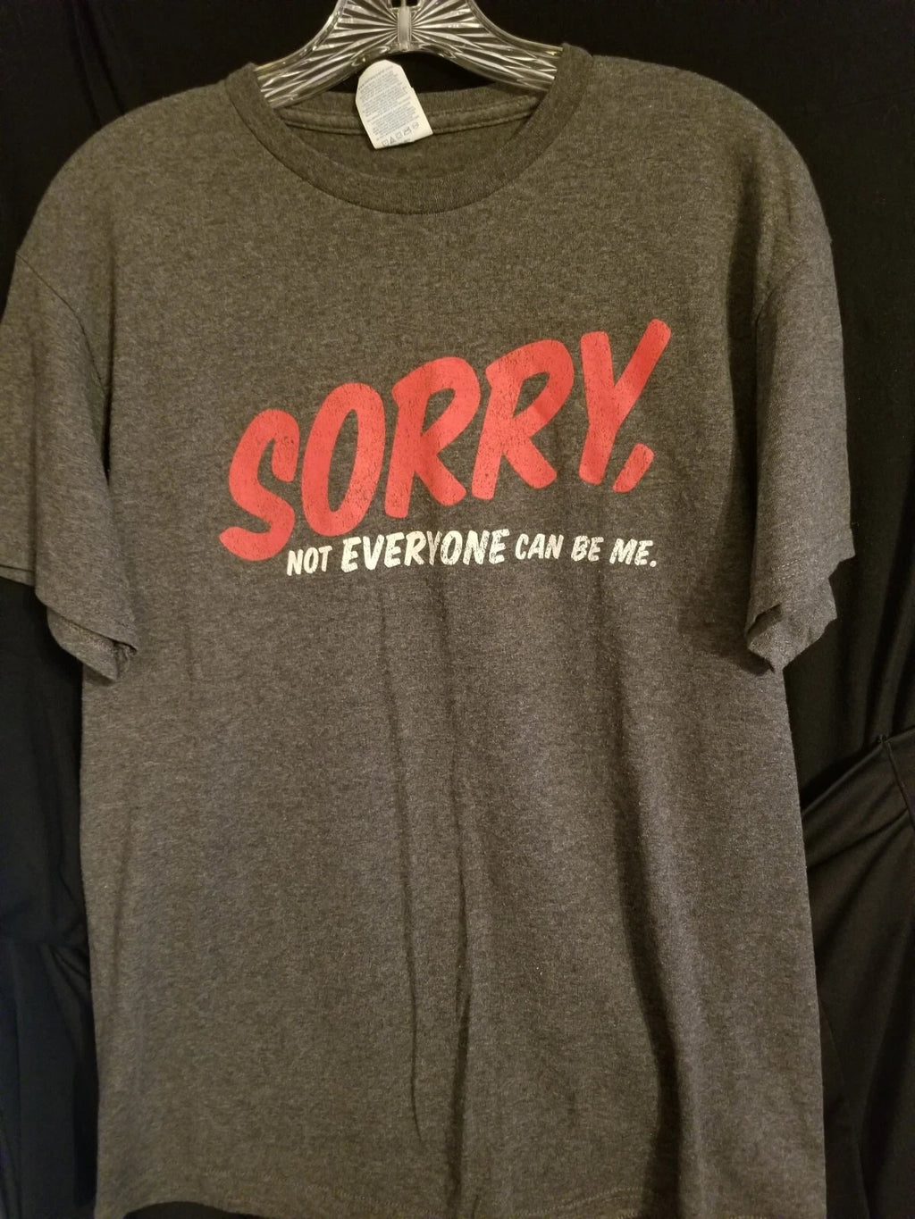 UNISEX Tshirt Sarcastic Tee SORRY NOT EVERYONE CAN BE ME Gray Red LARGE