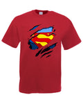 Super Man T-Shirt, Superhero Shirt, DC Lovers Gift, Unisex Adult Kids Tee Top