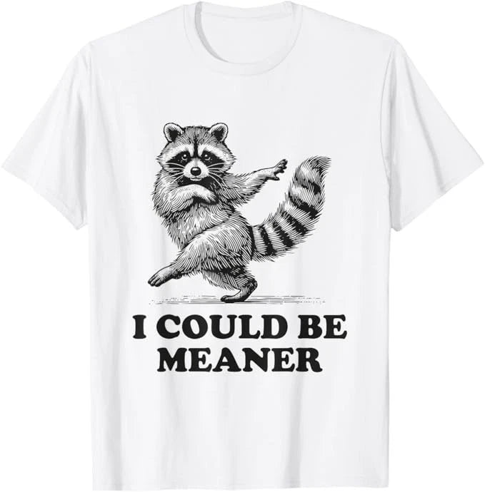 I Could Be Meaner Vintage Sarcastic Humor Funny Raccoon T-Shirt