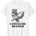 I Could Be Meaner Vintage Sarcastic Humor Funny Raccoon T-Shirt