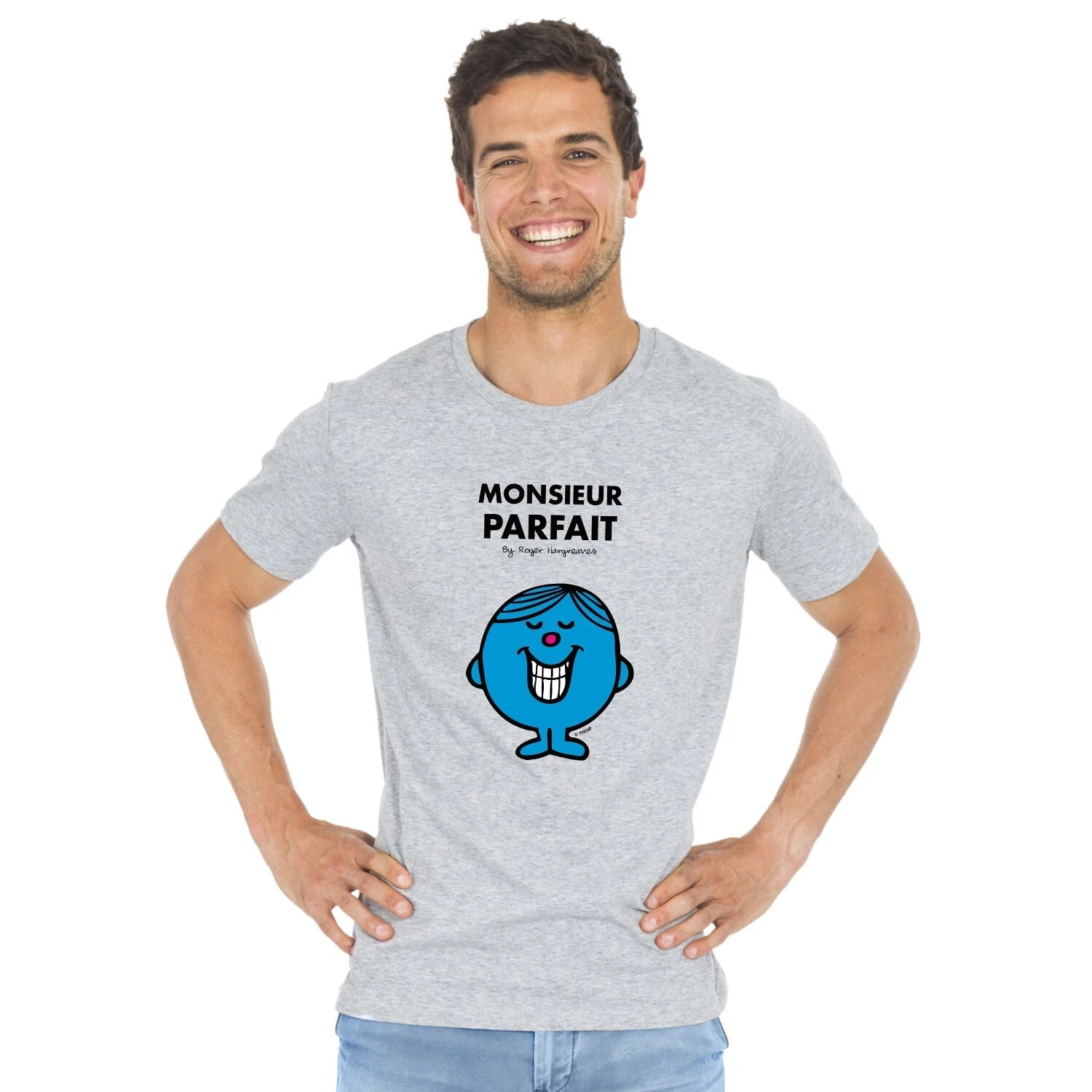 T-Shirt Man short Sleeve Gray, Mr Perfect