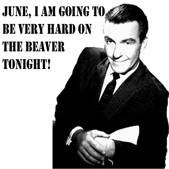 Leave it to Beaver Ward Cleaver  Hard on the Beaver t-shirt100% cotton