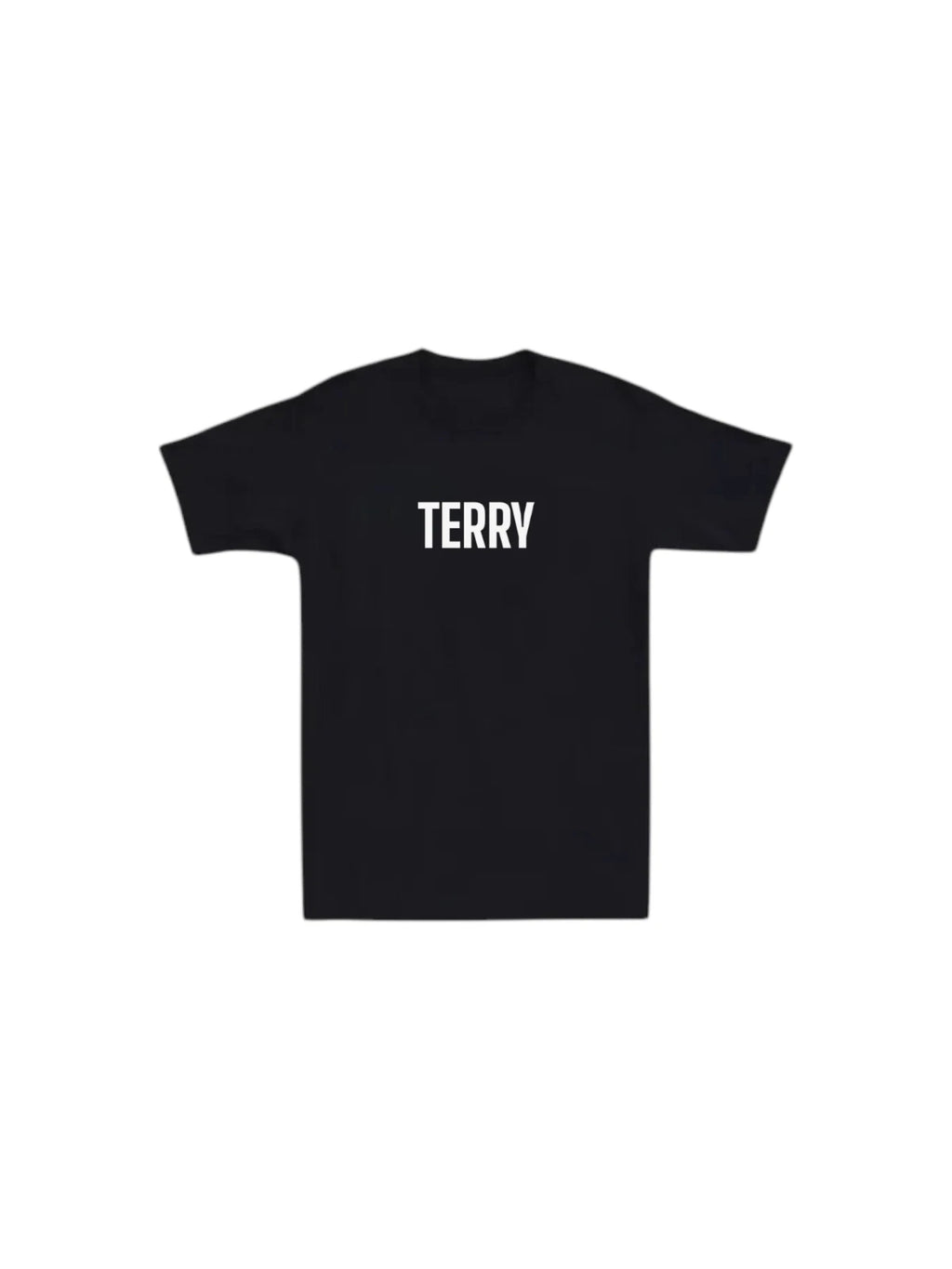 Terry Mens T-shirt Name Funny Laugh Joke Humor Tee Friend Dad Novelty Gift Tee
