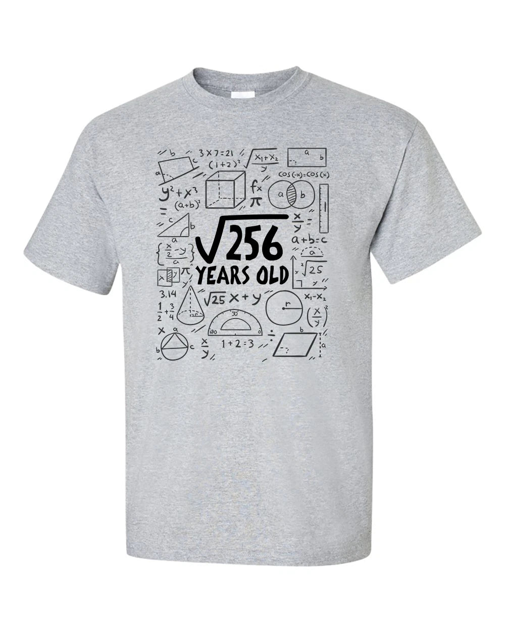 Square Root of 256 16 Year Old 16th Sixteenth Birthday Gifts Math T-Shirt