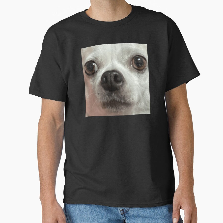 Taco the Chihuahua by ThunderRuler