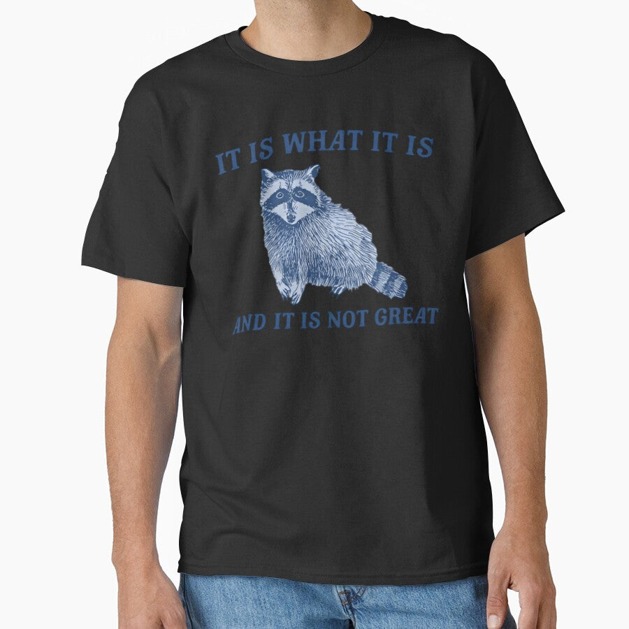 It Is What It Is And It Is Not Great , Funny  Raccoon  Unisex by Dreams  come true