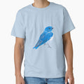 Mountain Bluebird by okaymoose