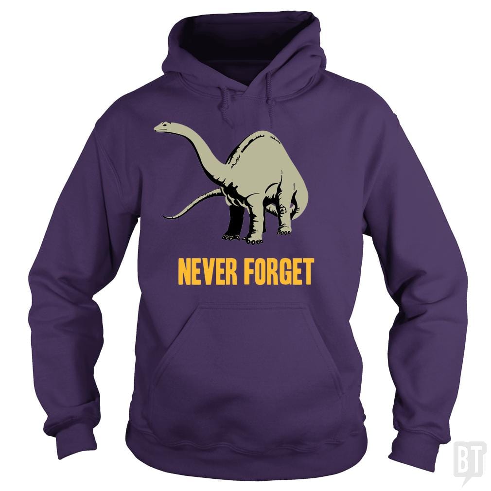 Never Forget Hoodie